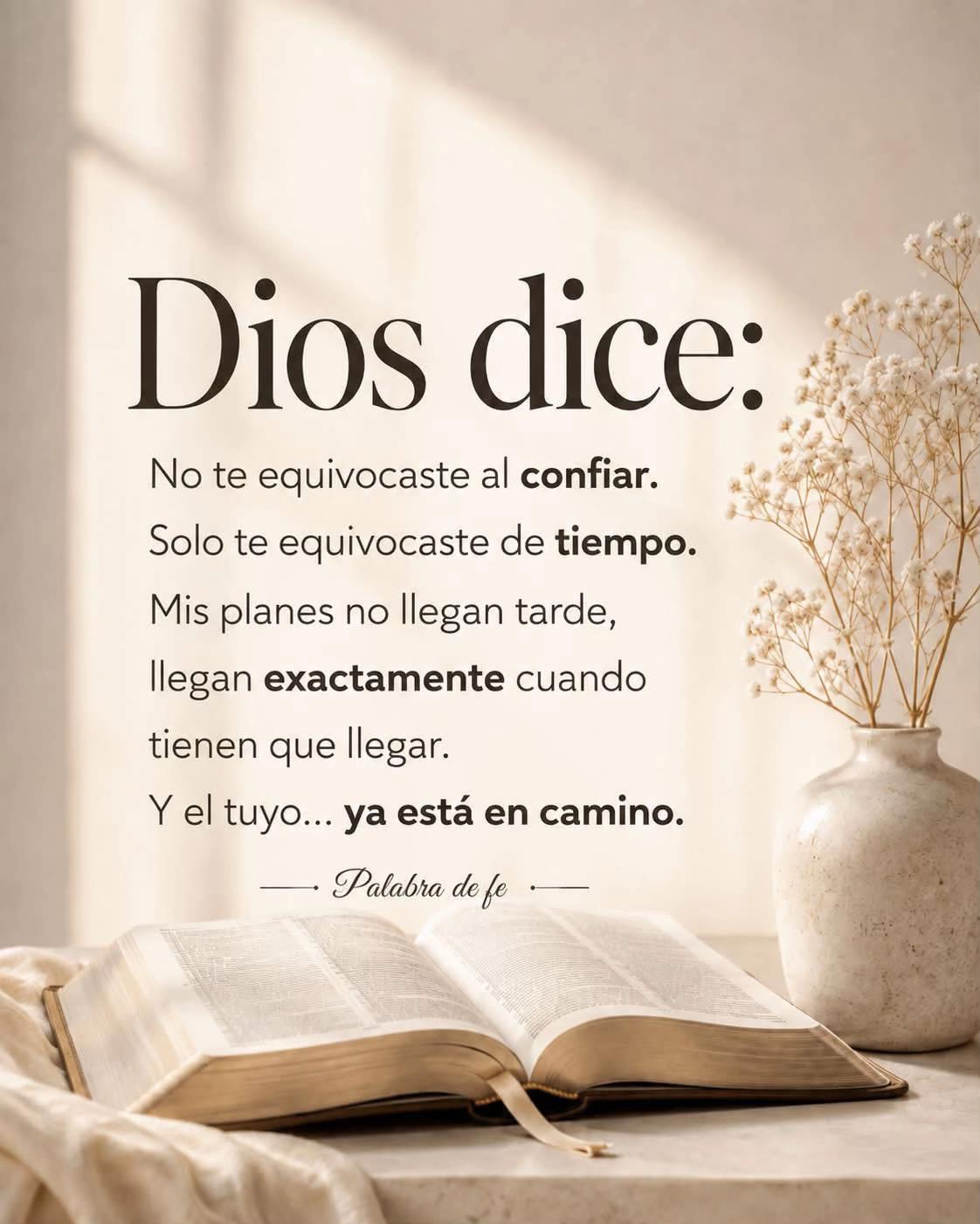 @lorenavelzquez6