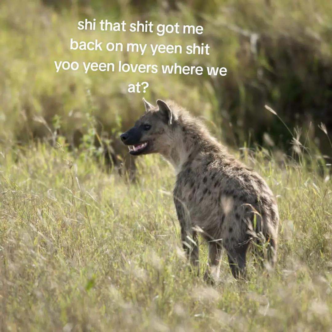 @AbrahamTheHyena✝️