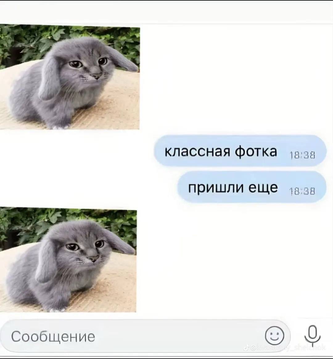 @Nikkk