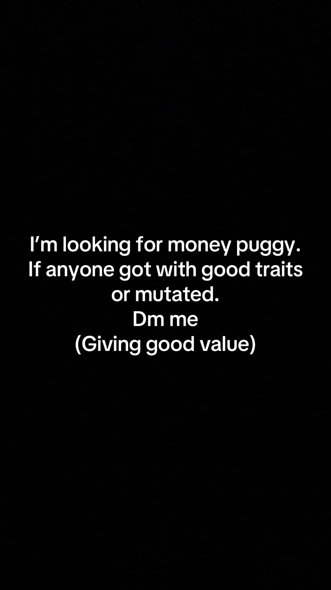 @SAB_TRADER_267