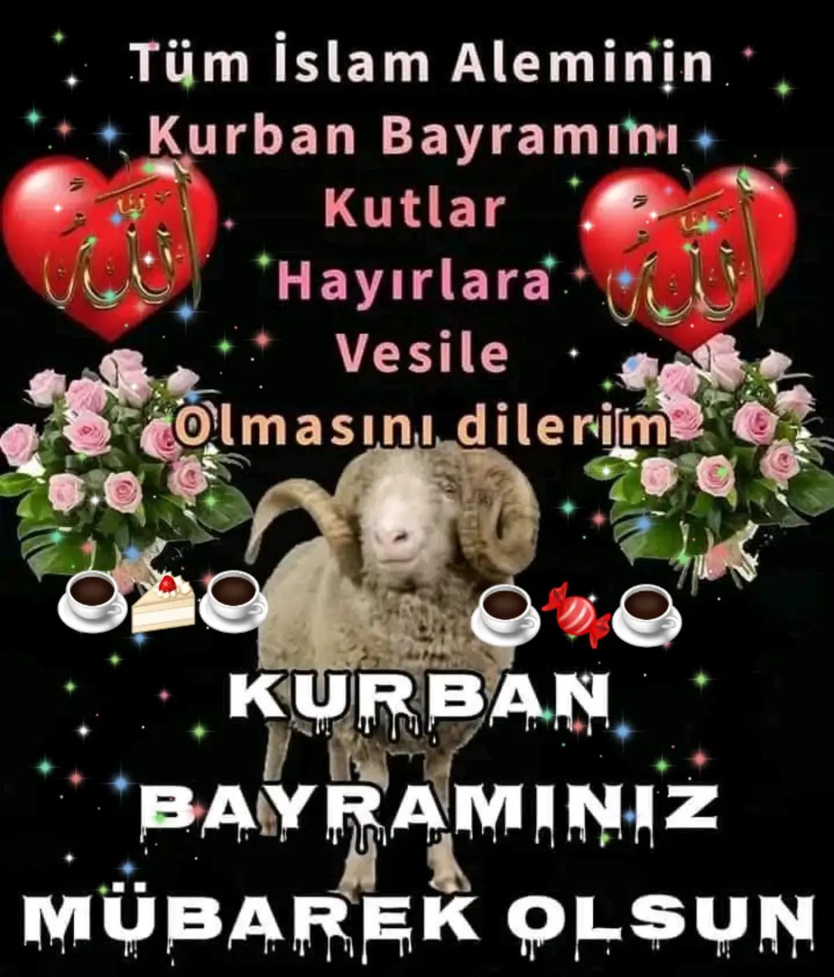 @🇹🇷Yasemin 01 35🇹🇷