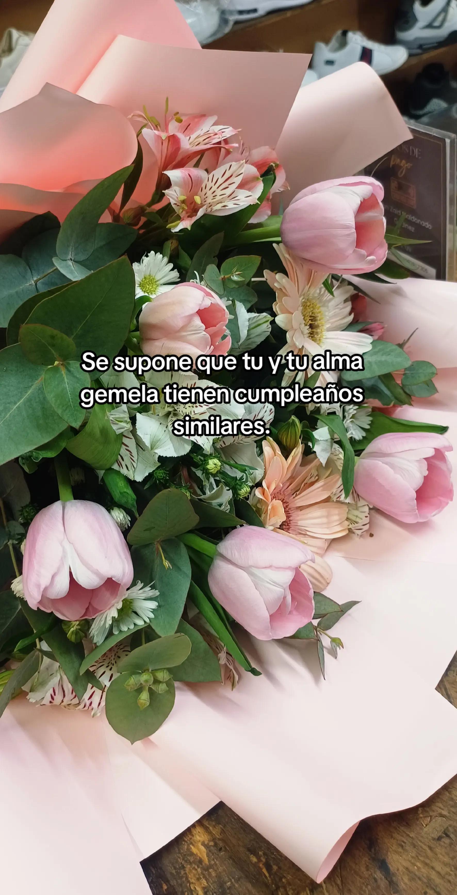 @MARIANA🩷
