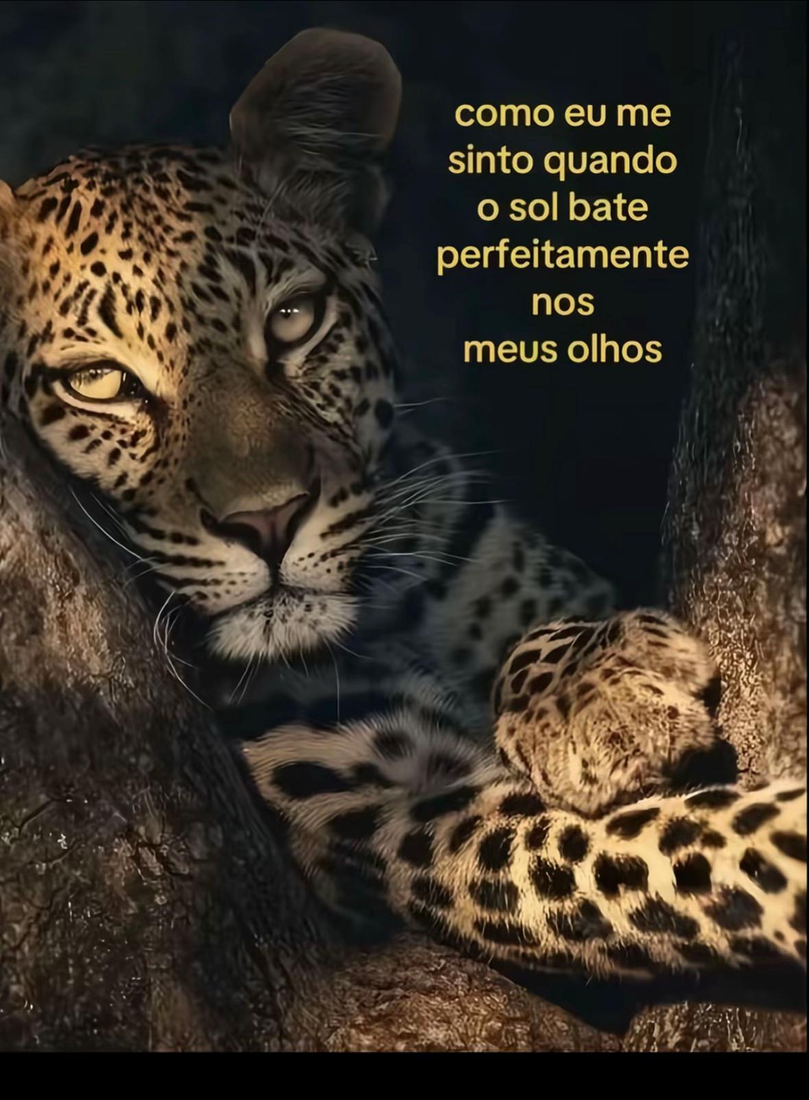 @Loh
