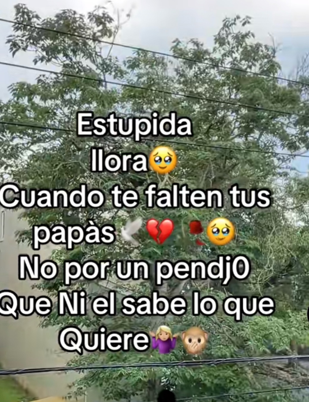 @&hearts;️&clubs;️MARY&clubs;️&hearts;️