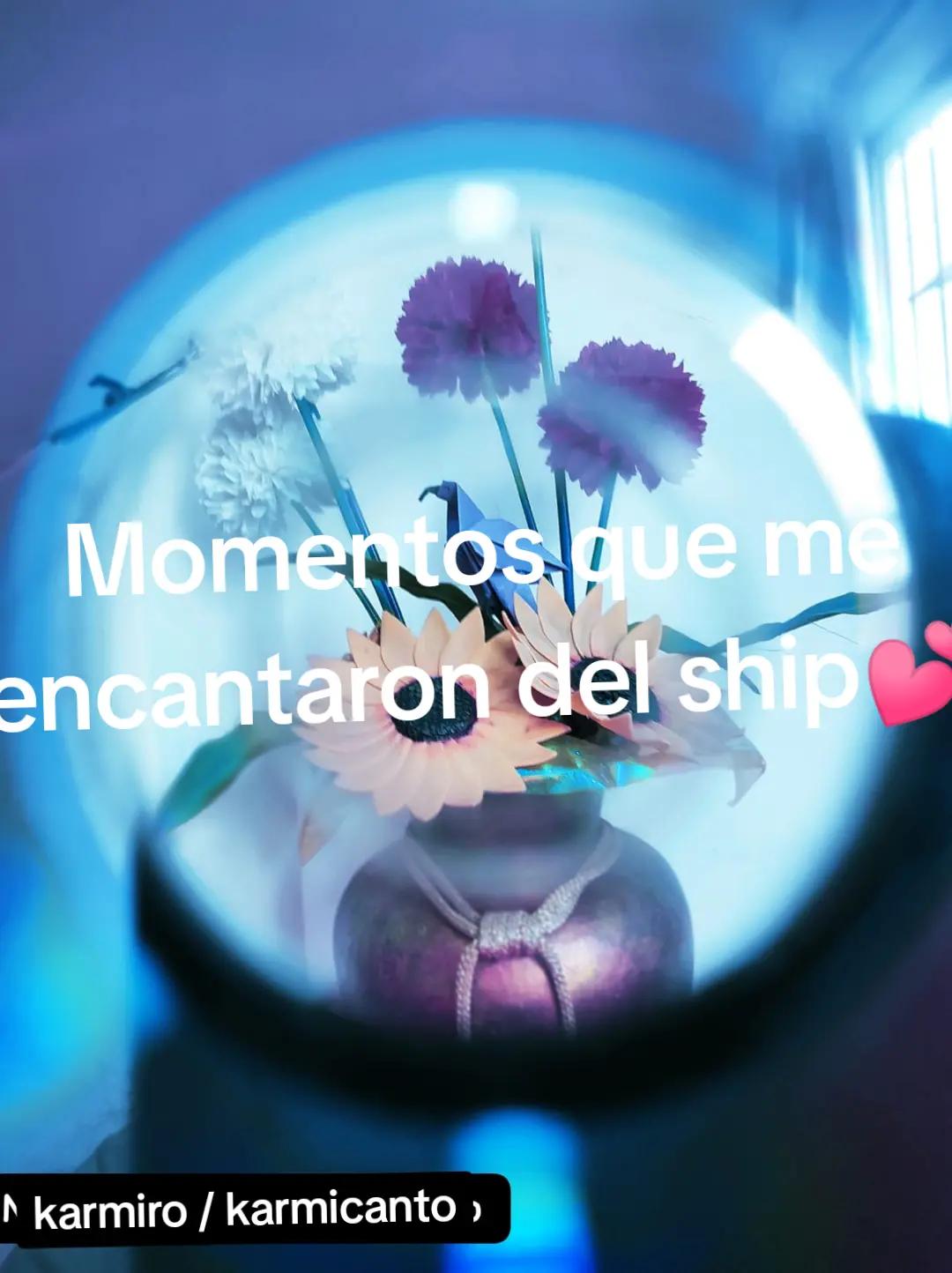 @Karmiro Kun🧡💜✨