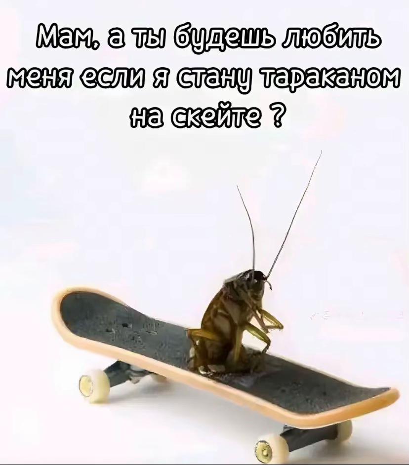 @Маму ищешь?