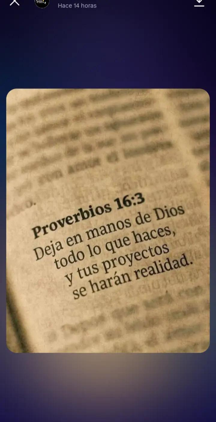 @🌵🪄 Evelyn 🌼 💫