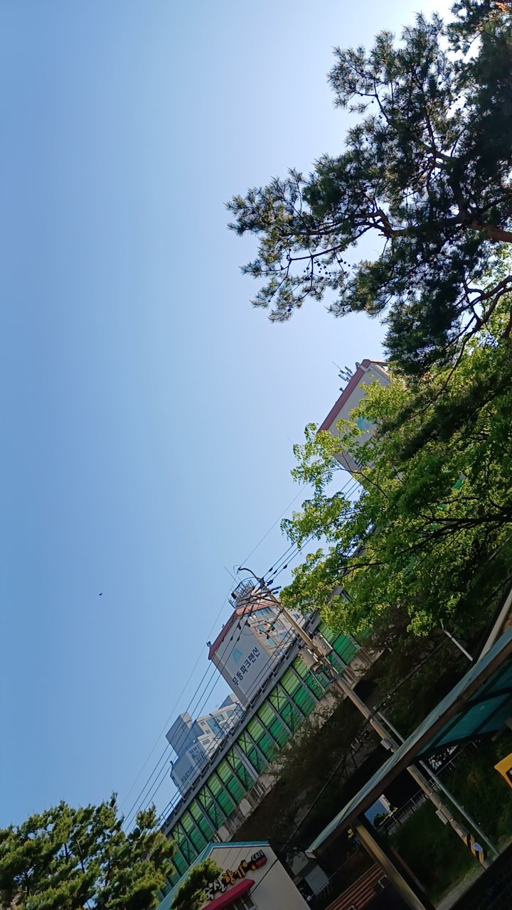 @๋ชฝ์ค๐คธโ๏ธ