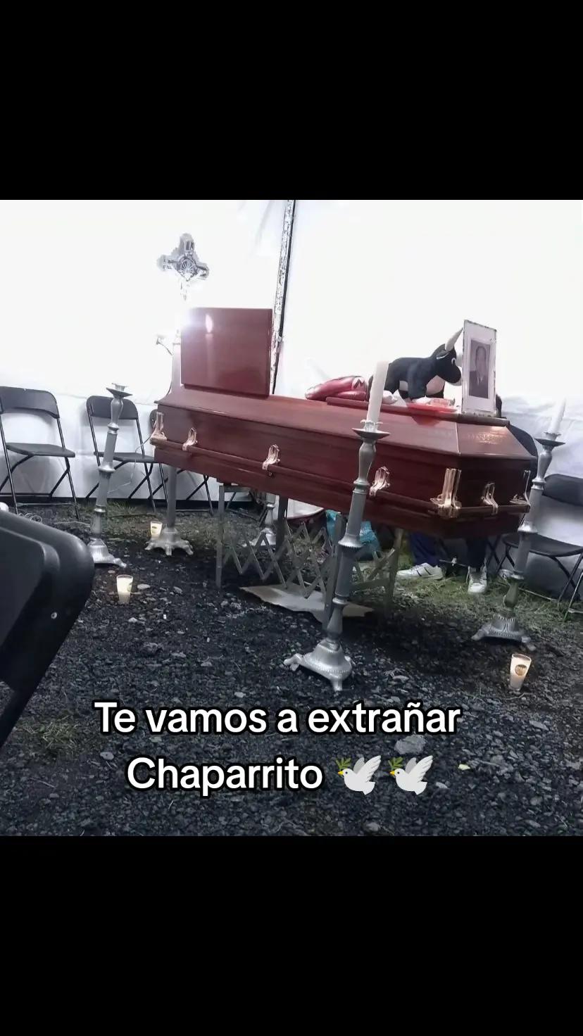 @EL ⬇️rey de las_⬇️bromas✓