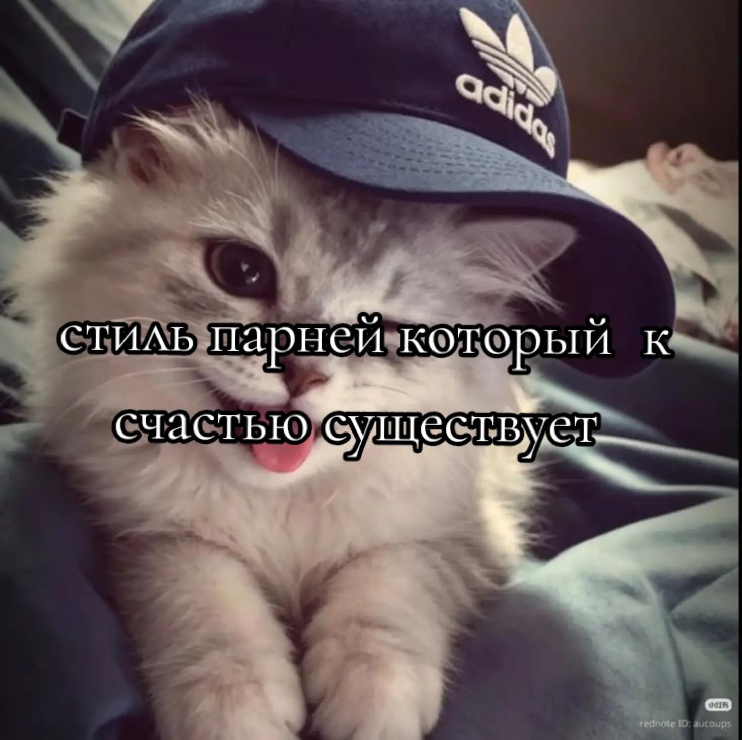 @ѕҡყℓ&iota;ии