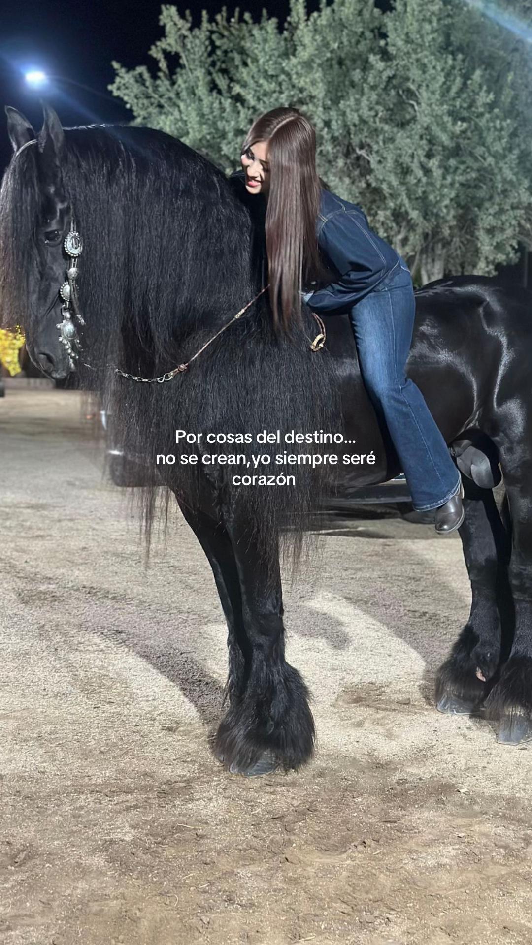 @aylin