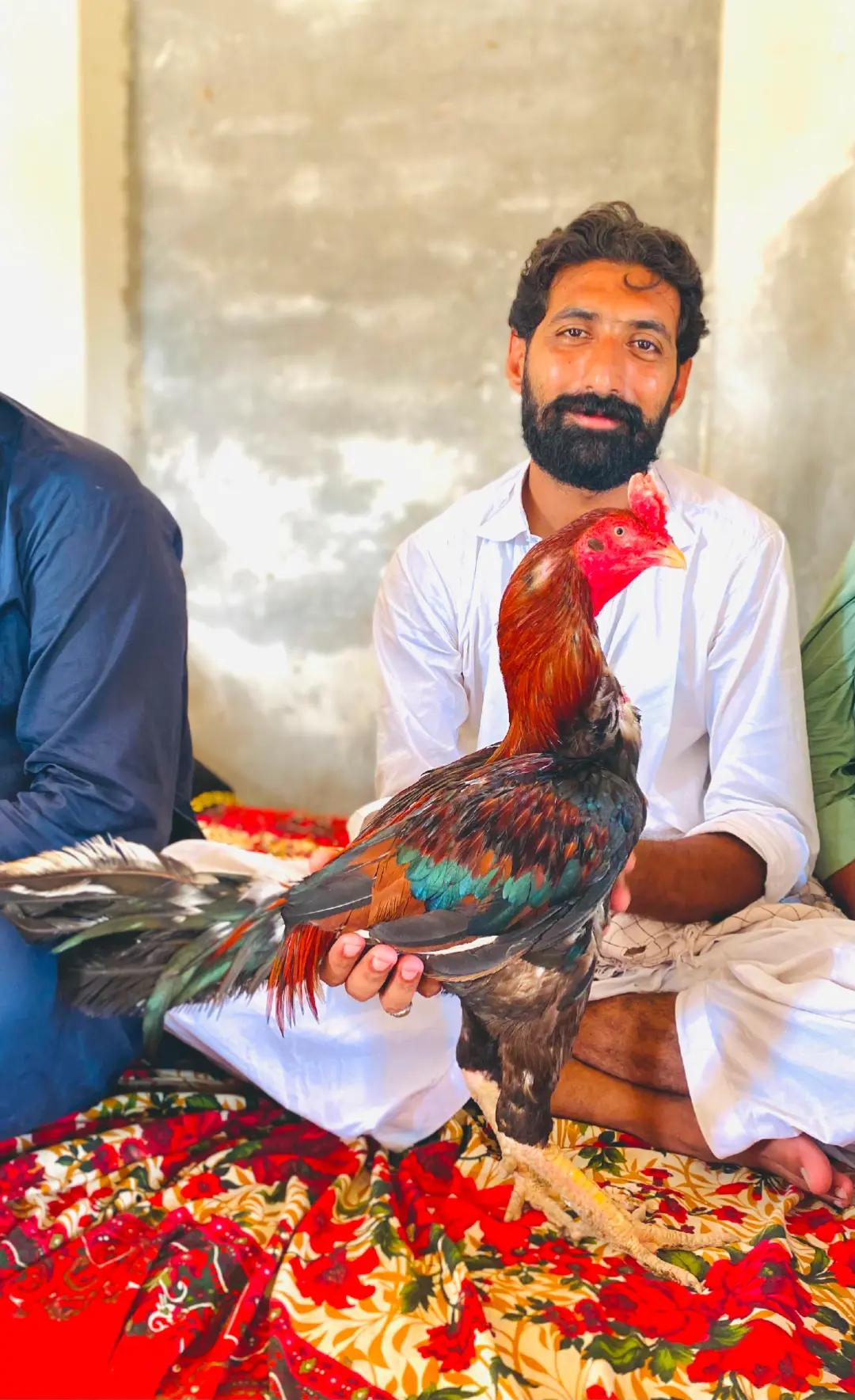 @ملک عاصم سندیلہ