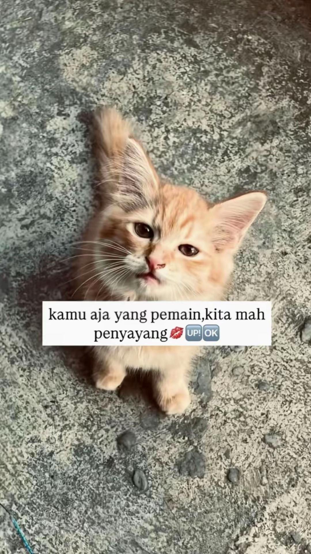 @ztrifth