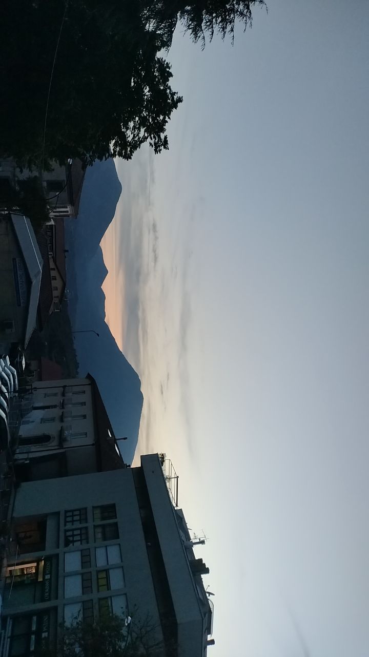 @dominisia mastroianni