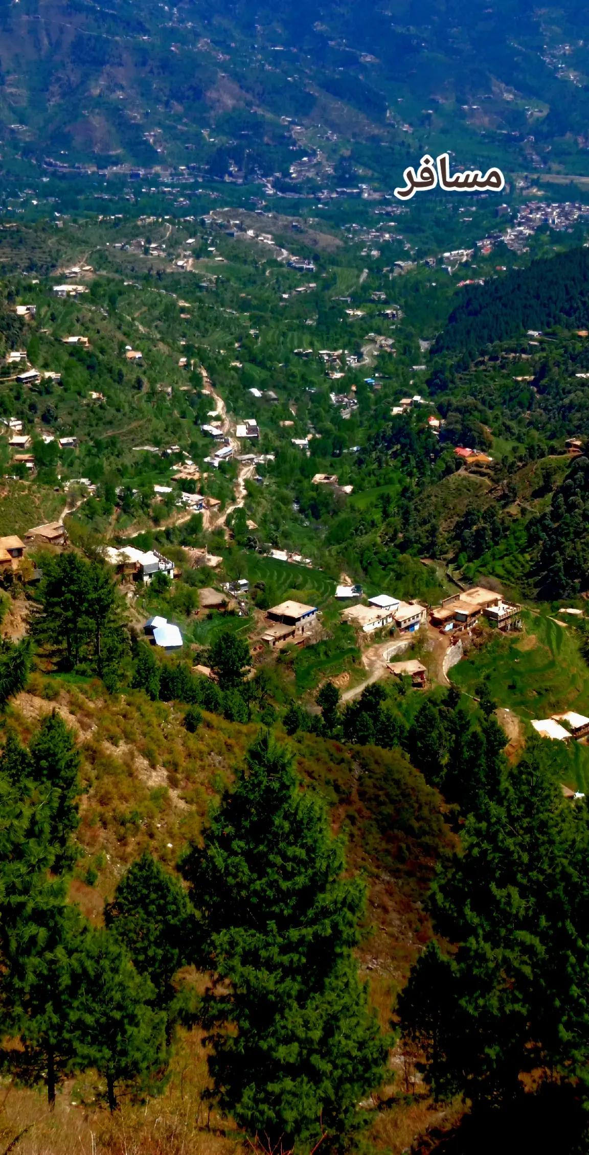 @🌲غر سنے 🌲