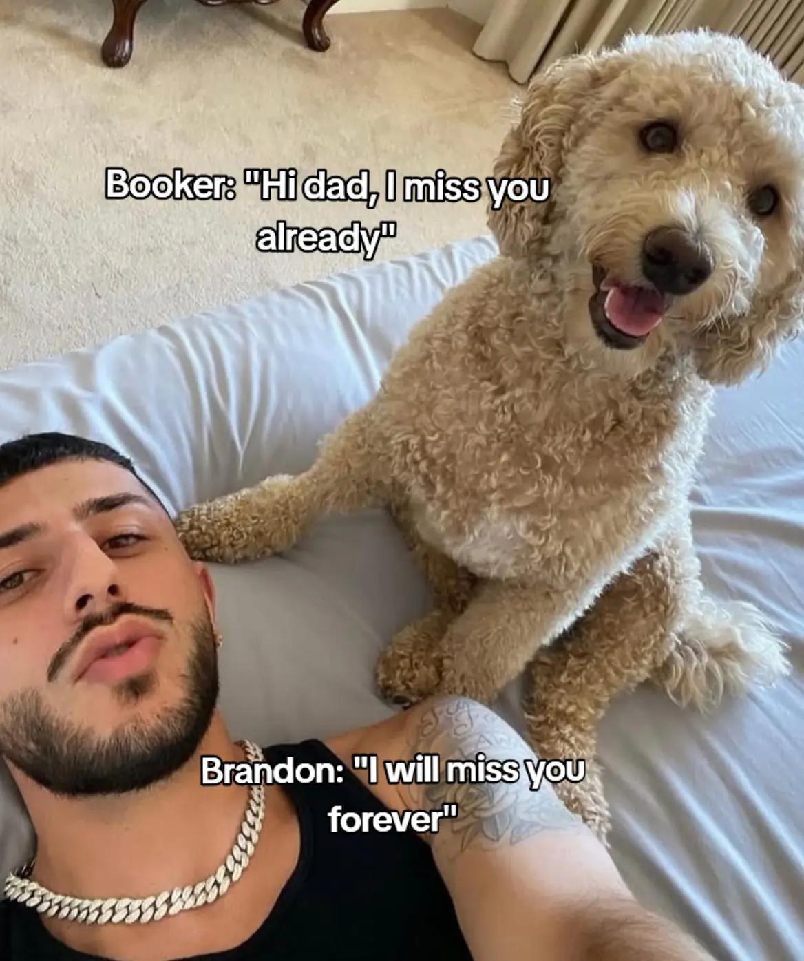 @Alex