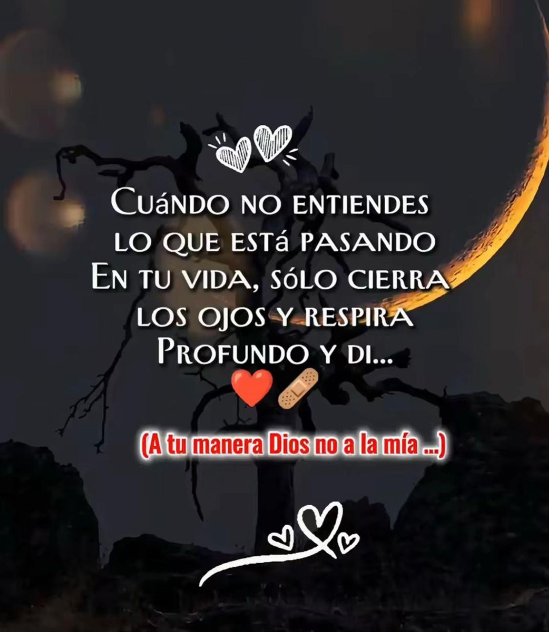 @yanicsa