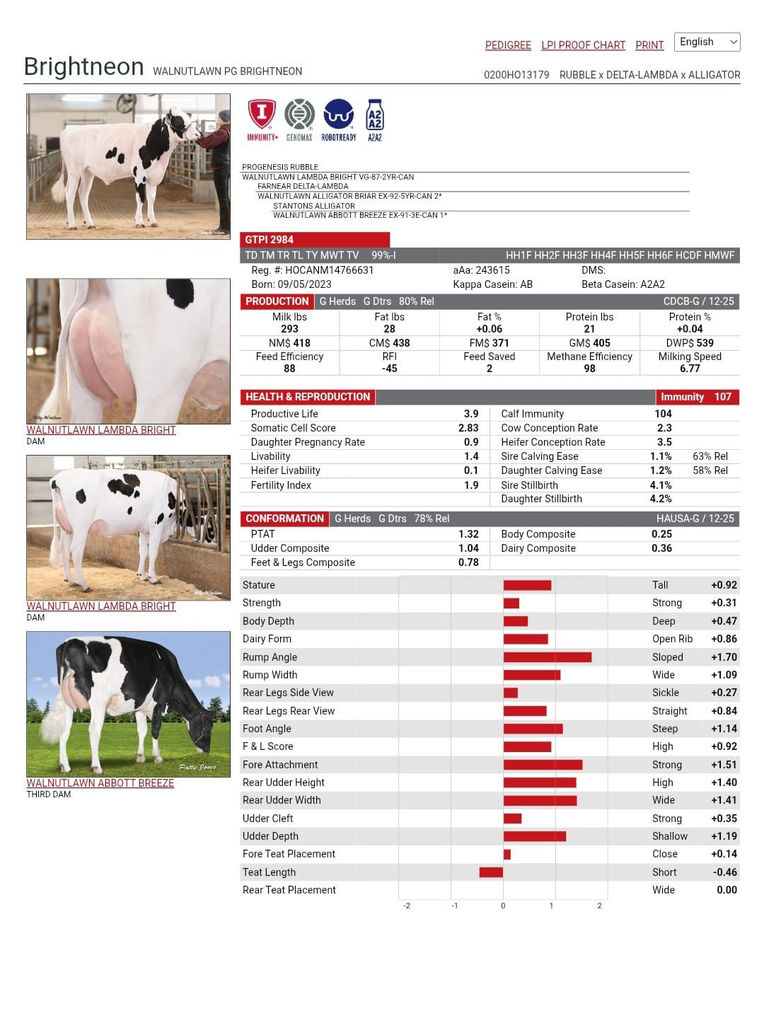 @SEMEX