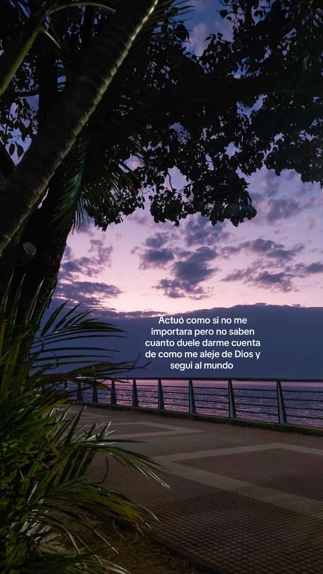 @D a m a r i s✨