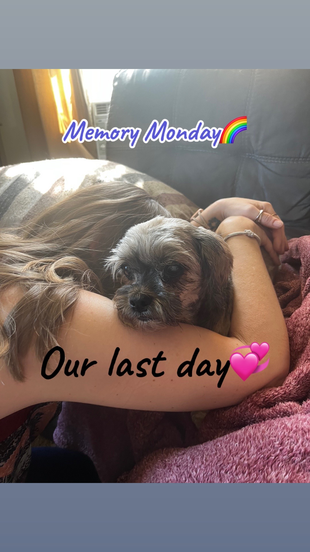 @Darcy&Norm 🌈Mags🌈Boss🌈Sadi
