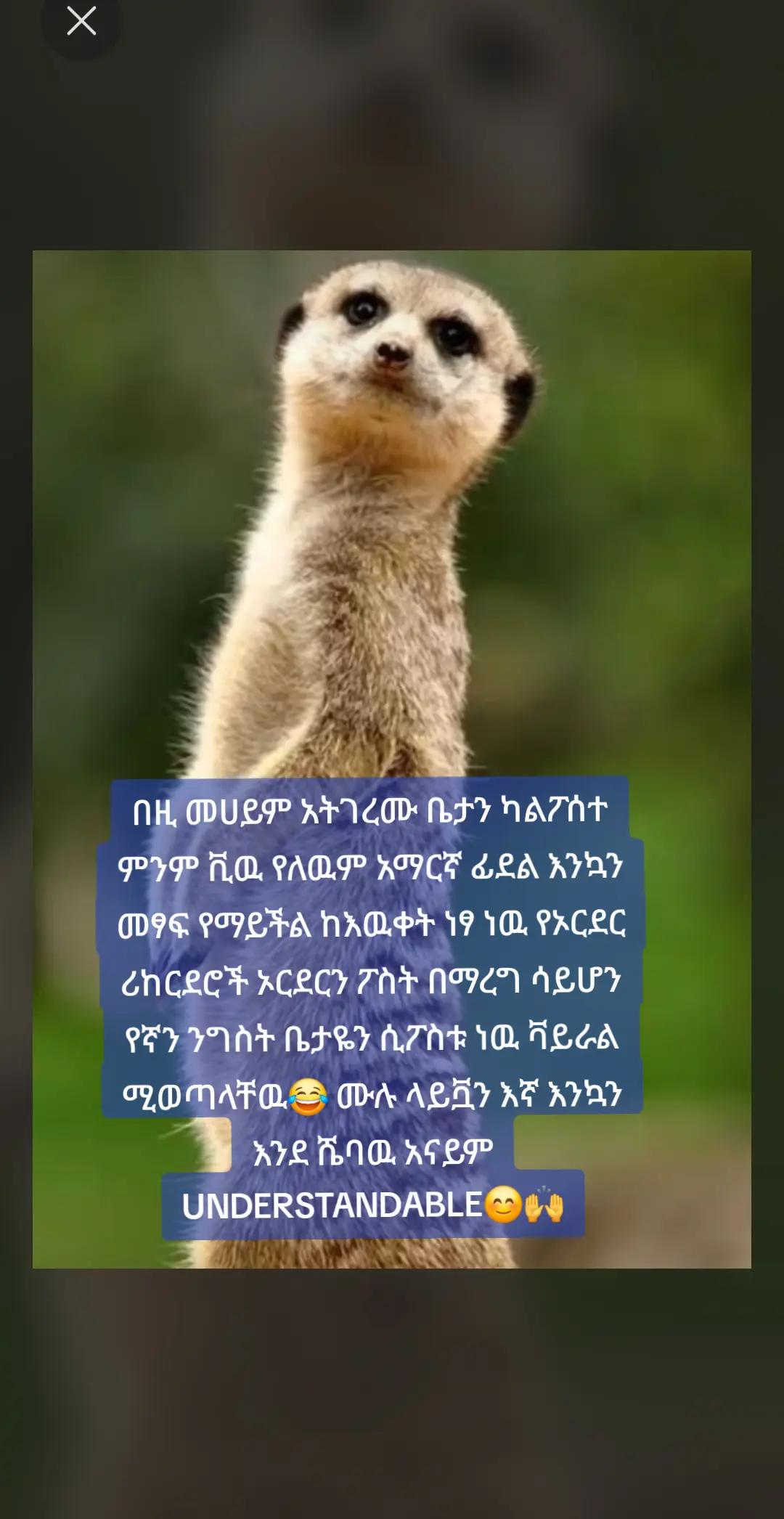 @በጓ⚡🐏