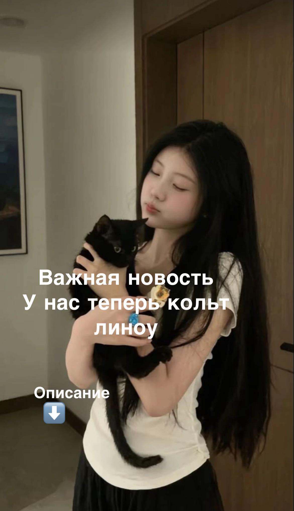 @🎐🦢𐙚𝓓𝓪𝓻𝓪⋅𐙚🎵🎐