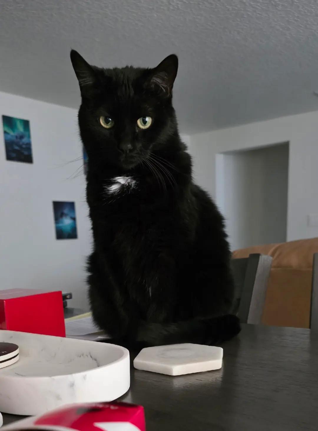 @Mandy  ✨️✝️🐈&zwj;⬛️🎢