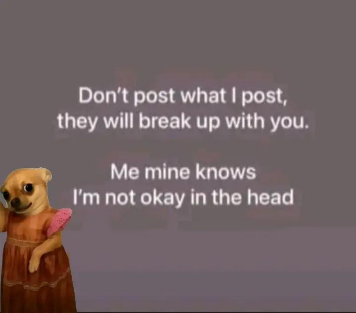 @Queen of vibes 👸💔👑