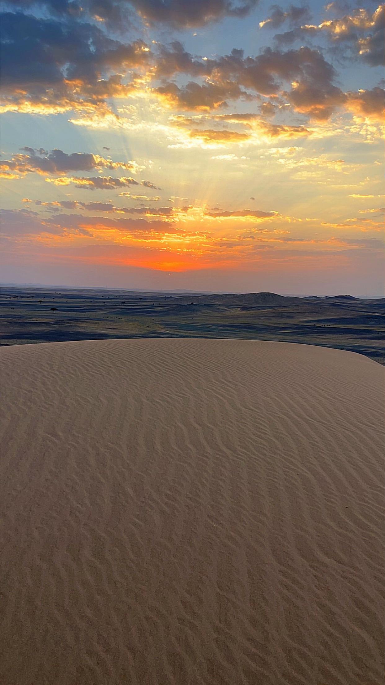 @(﮼صمت ﮼الجرو ح﮼)