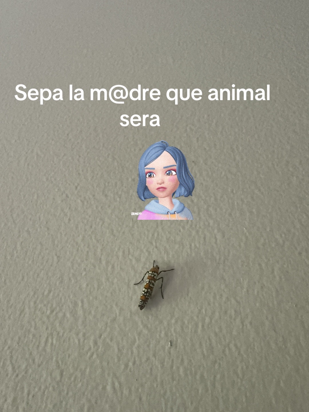 @Maria Ruiz