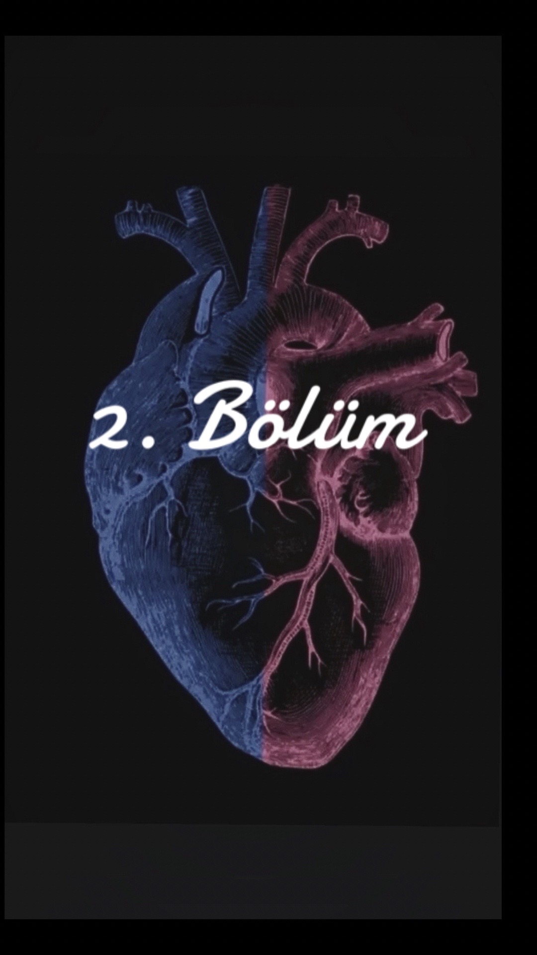 @Defne_34