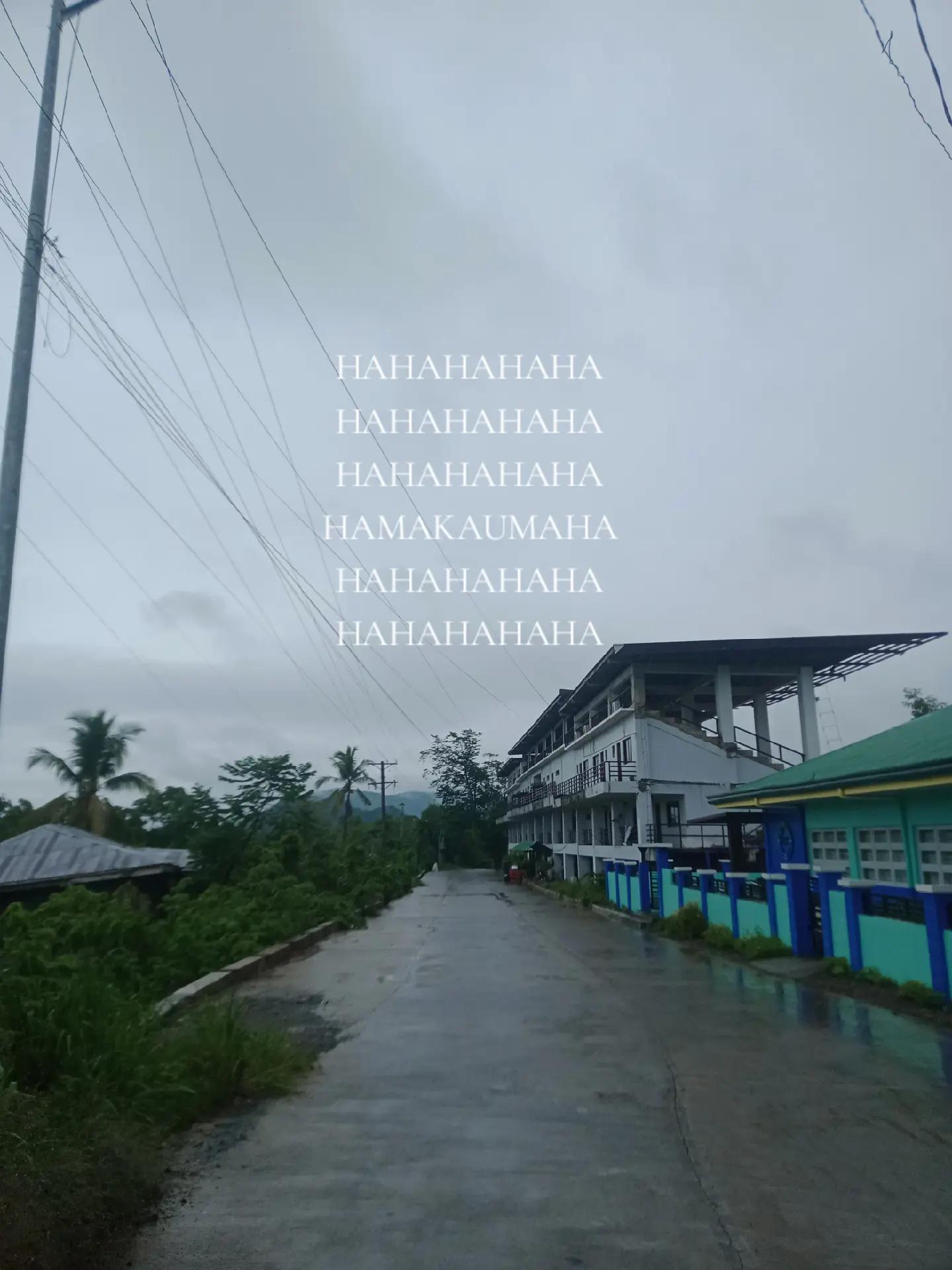 @intett