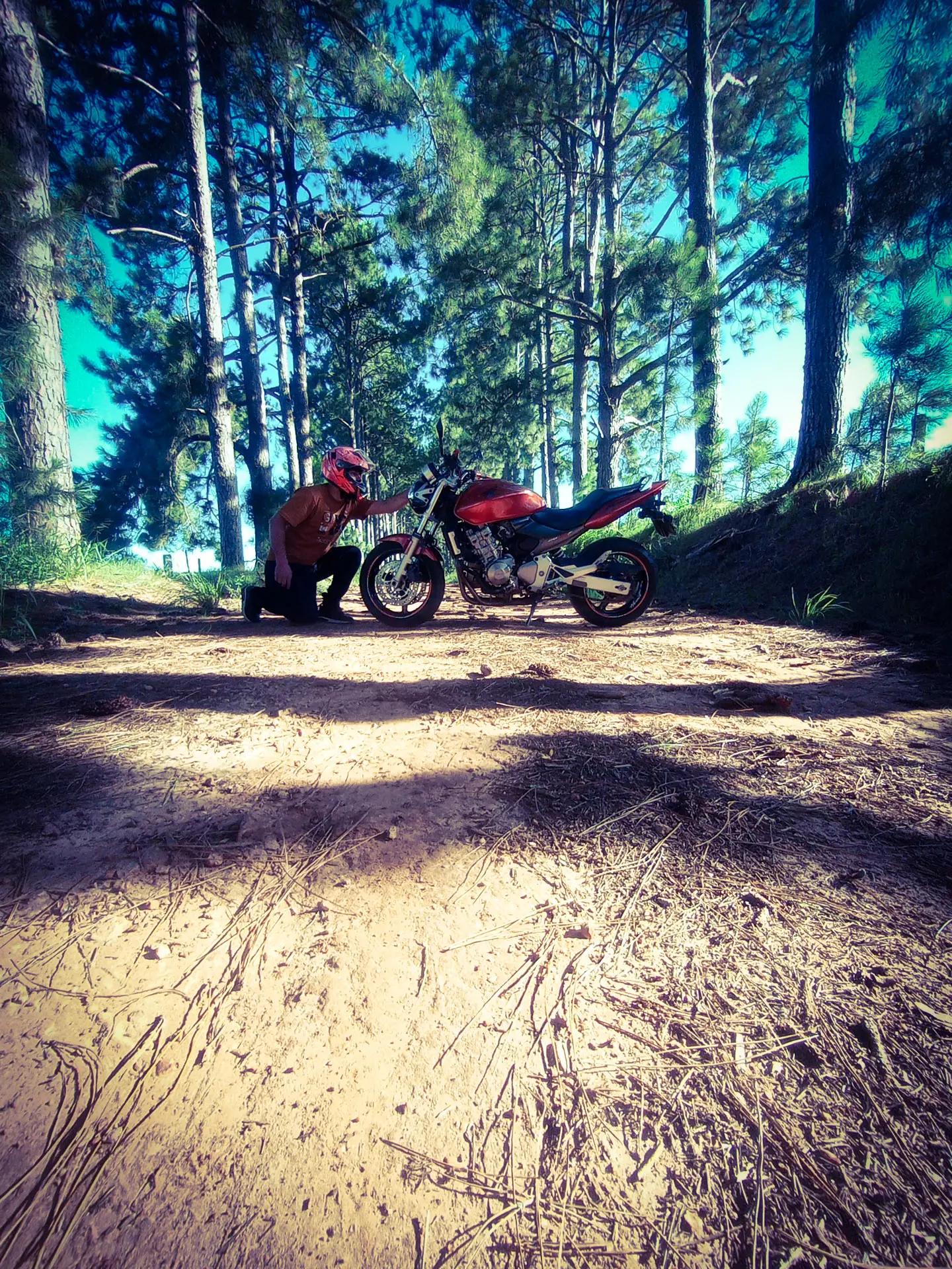 @adrianoGuedes750