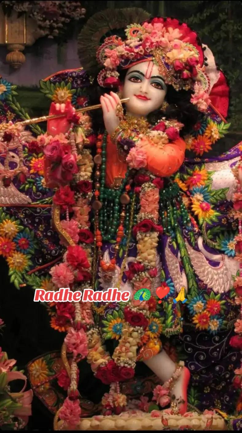 @Radha Krishna 🦚🦚🦚