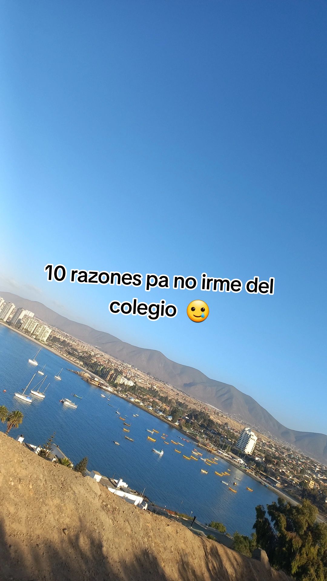 @🤎🤎🤎