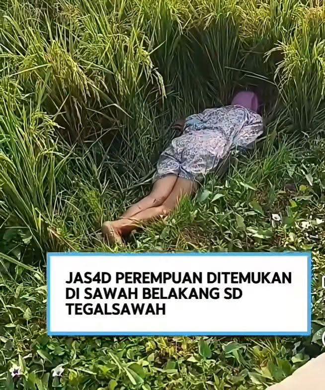 @INFO HARI INI 🇮🇩