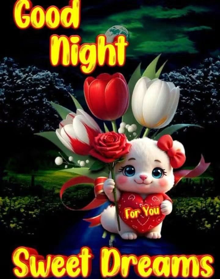 @chinsee