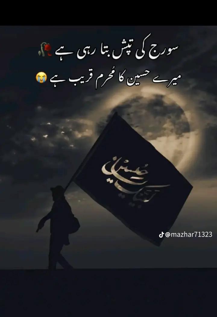 @کمانڈو پٹھان 🦁