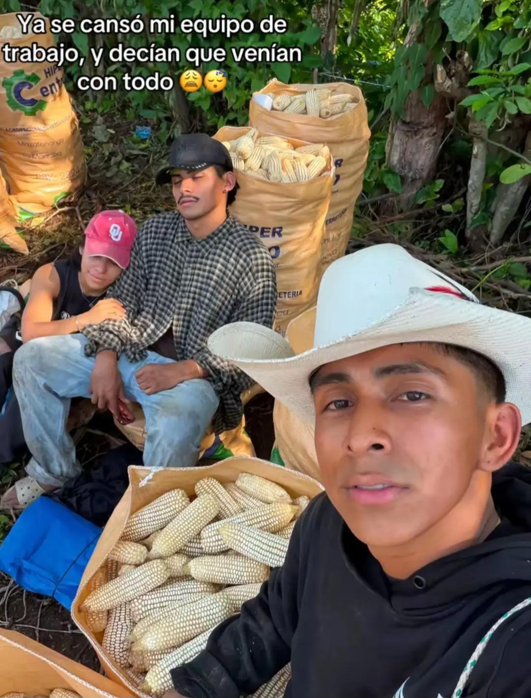 @Tu Contenido Favorito