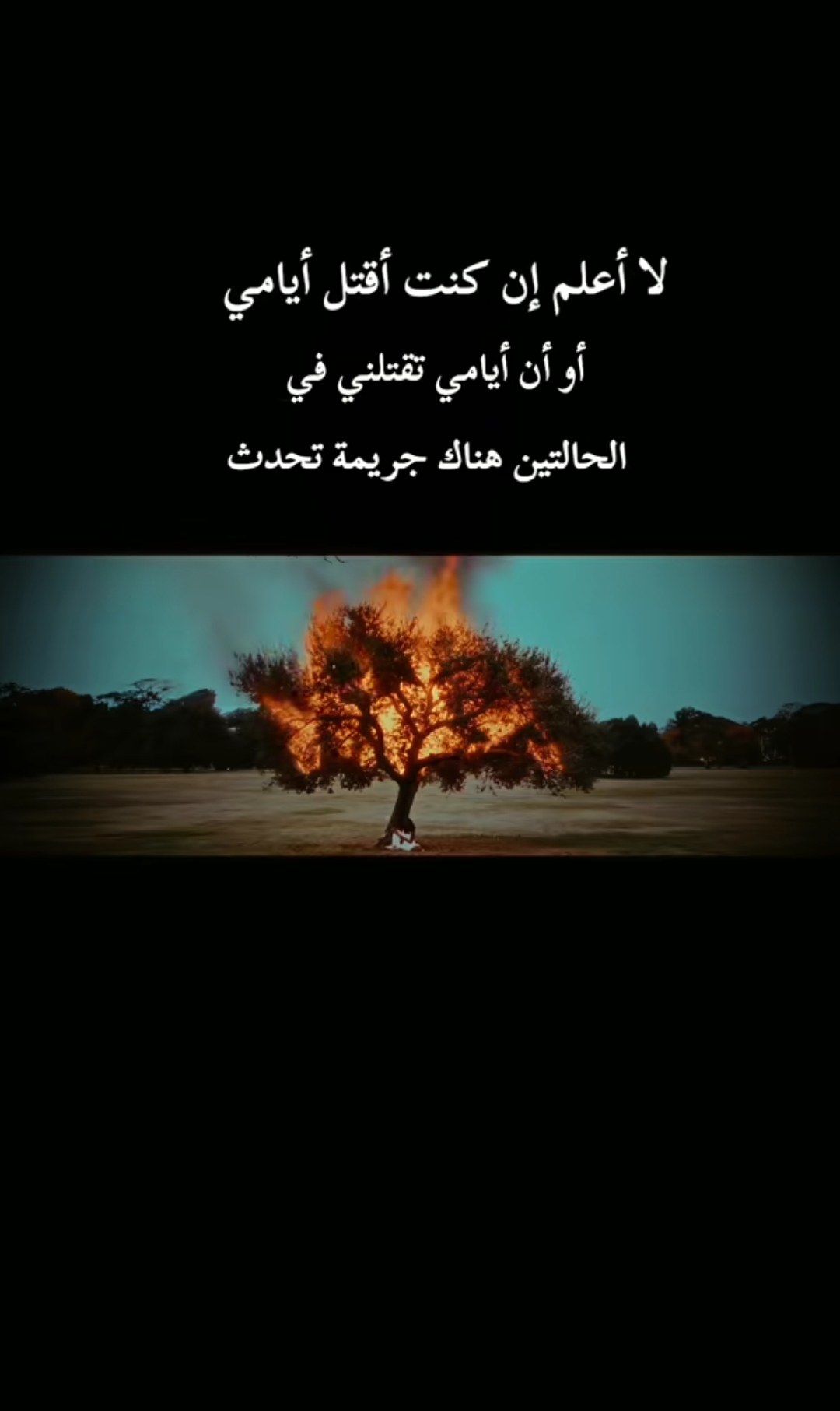@سطايفي مريول