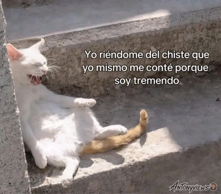 @Freddy QH