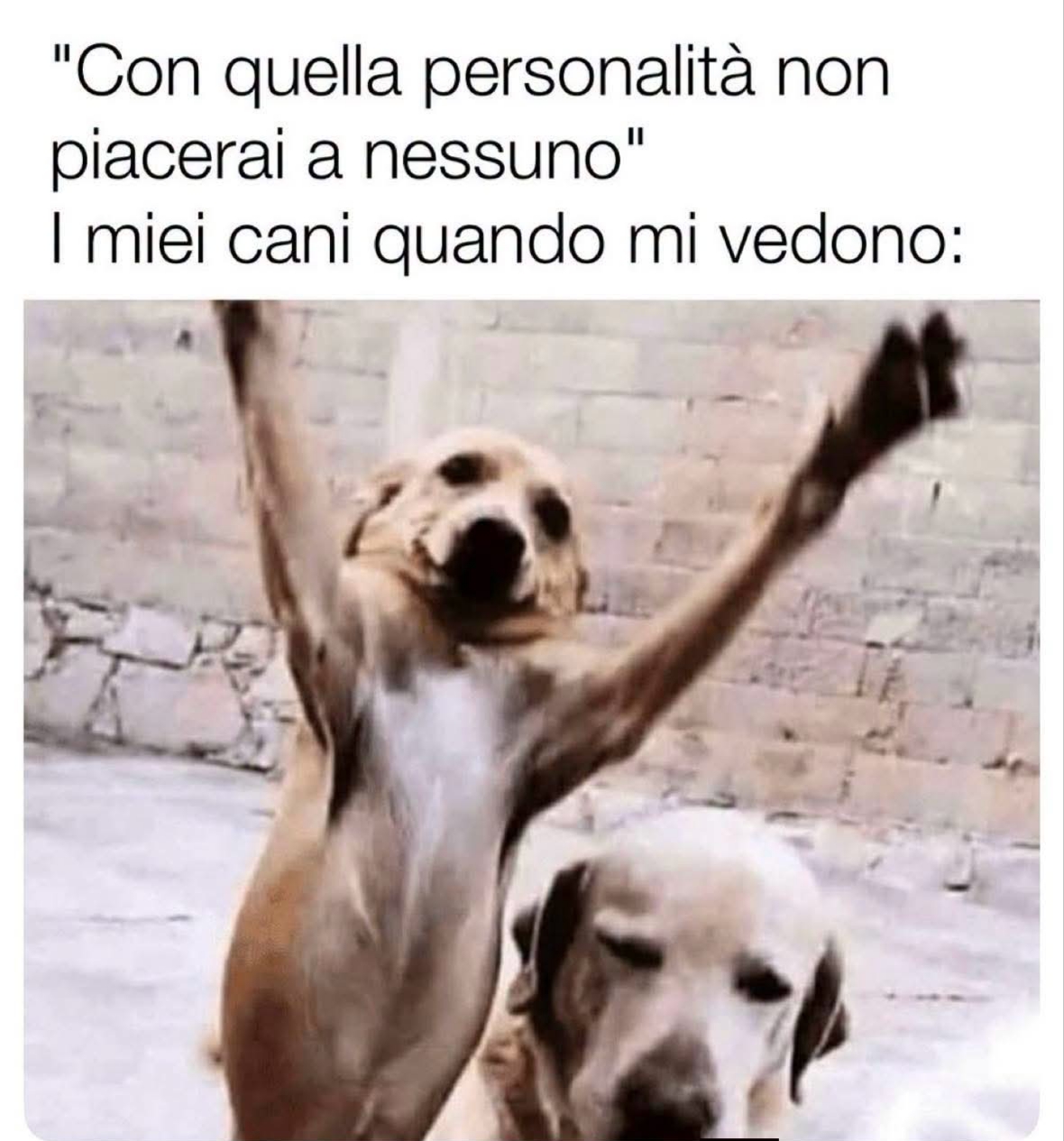 @Mariana🖤