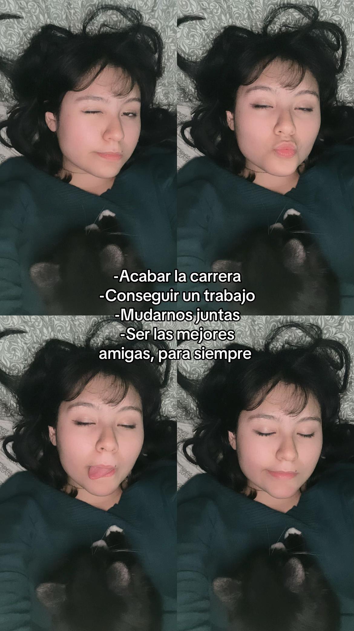 @Catsung