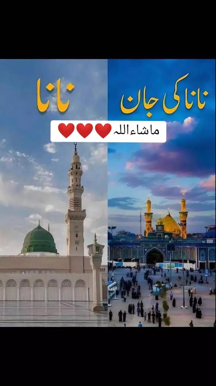 @SHEحROZ❤️🔥