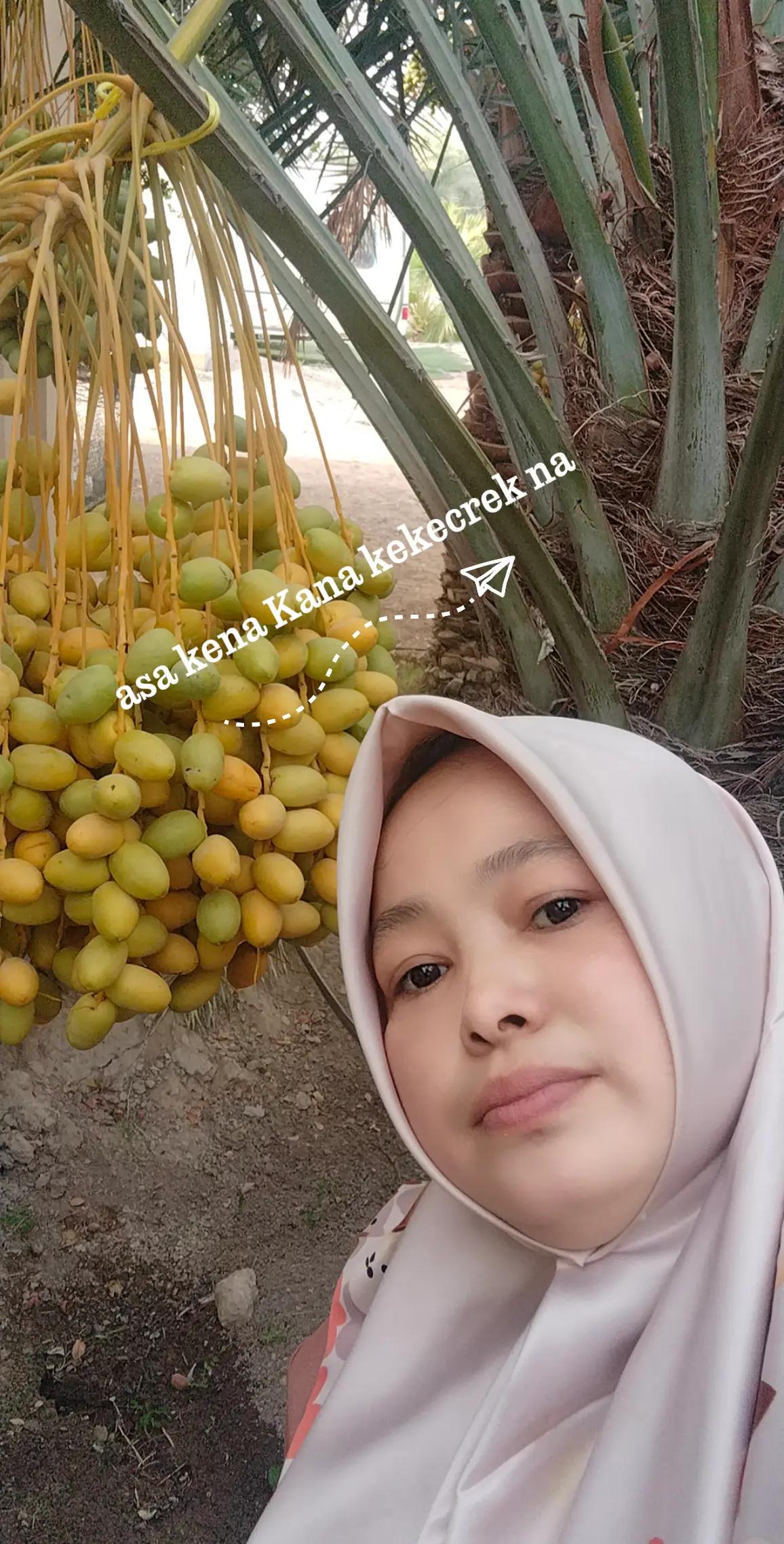 @Ambu_Nurul