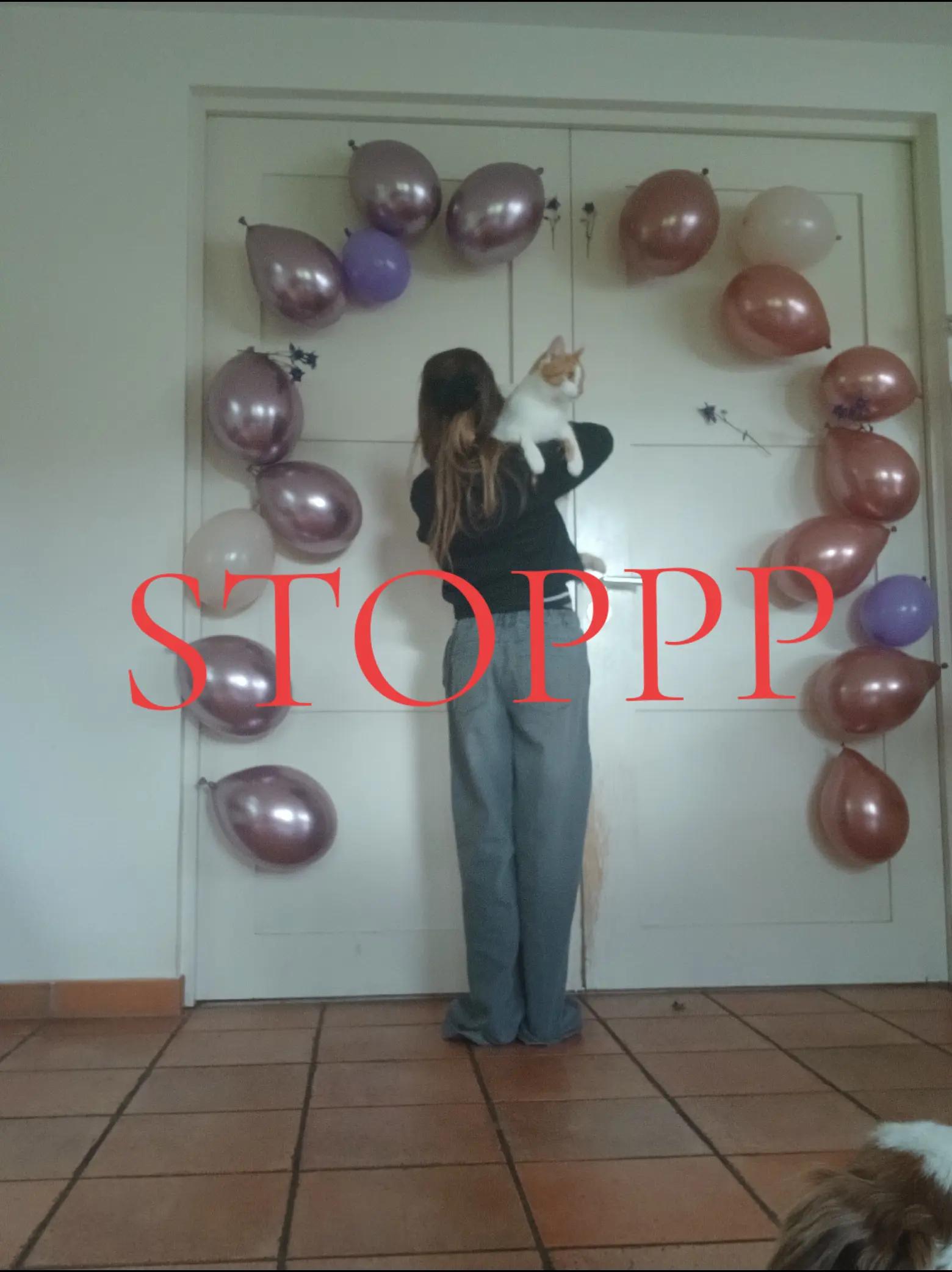 @Antonia ♡