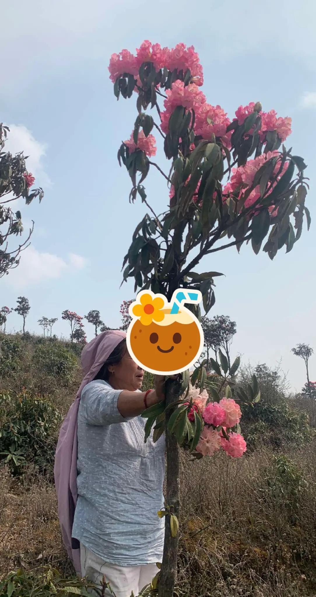 @Dhan Kumari Rai