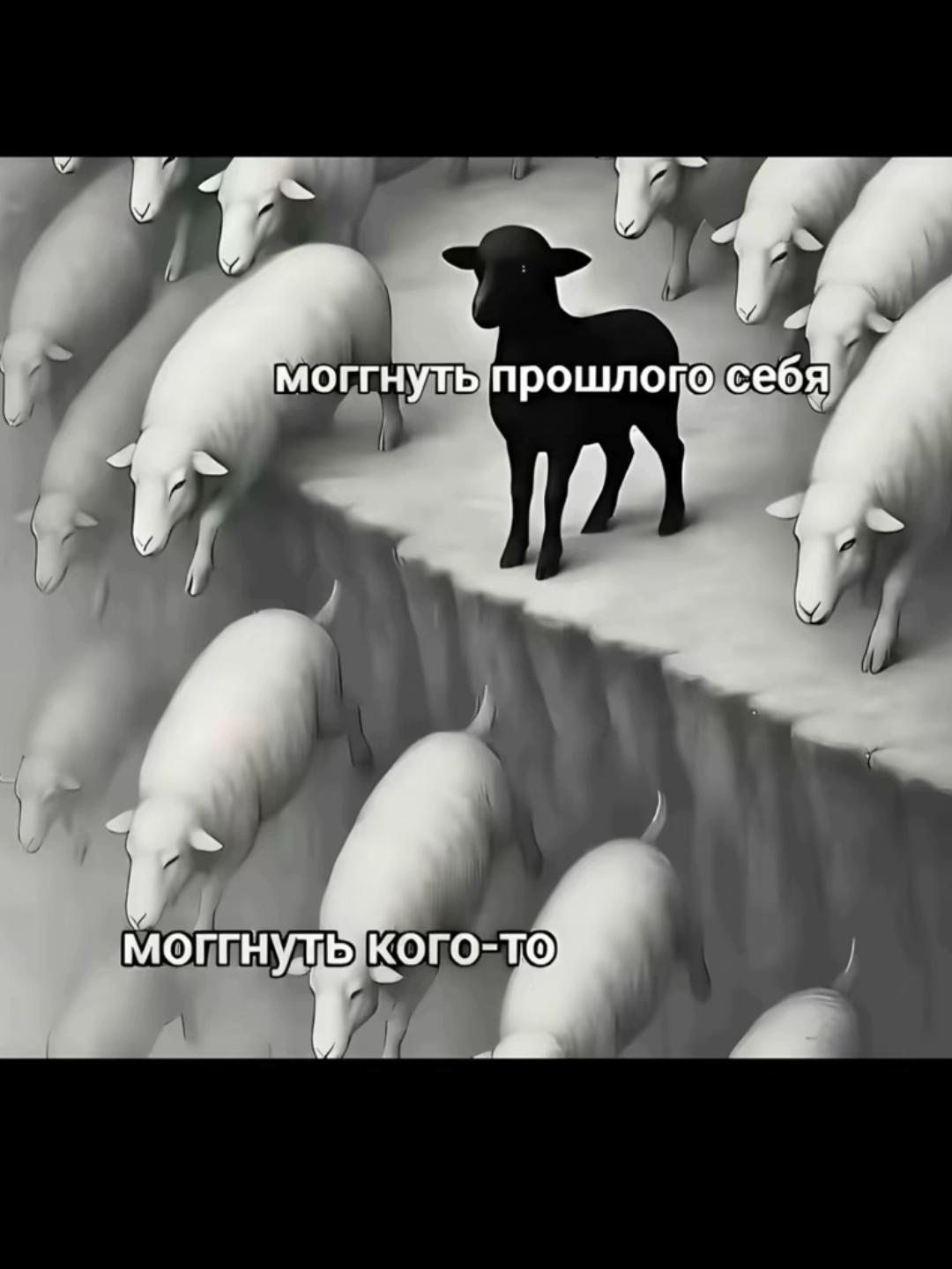 @luvi<3 Лувнұрлы🌞