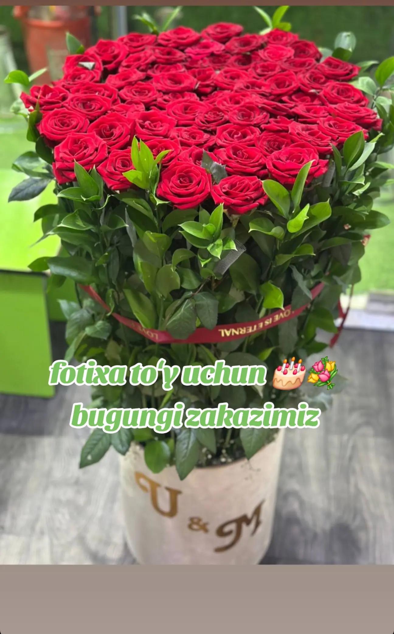 @💔dili_shkasta💔