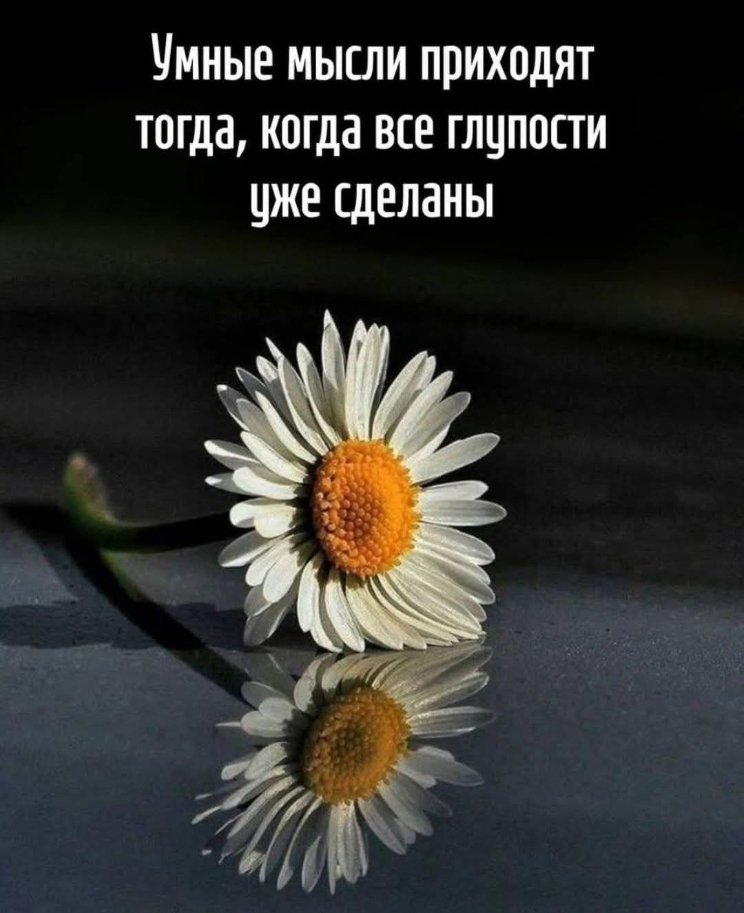 @erjan_talas